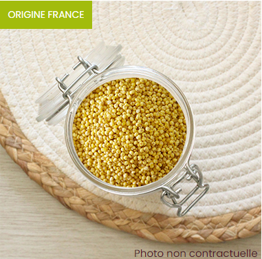 Millet décortiqué bio - 1